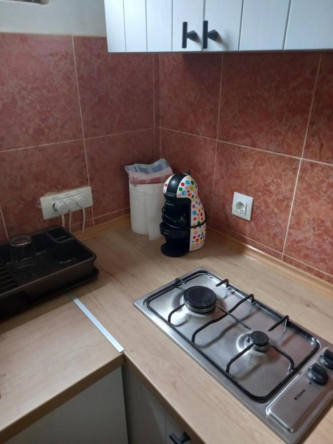 Stan U Maslinama Apartment Podgoriţa Exterior foto